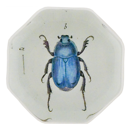 Blue Scarab Beetle (Beetles)