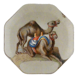 Camels