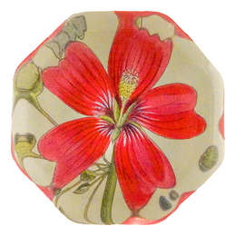 Lavatera Assurgentiflora