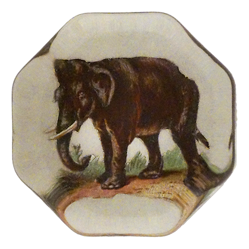 Wandering Elephant