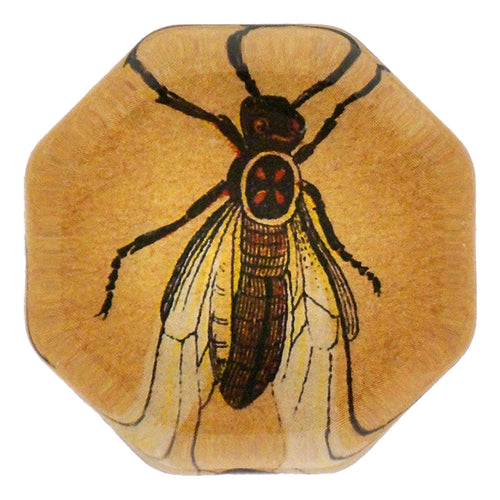 140 Insects D - FINAL SALE