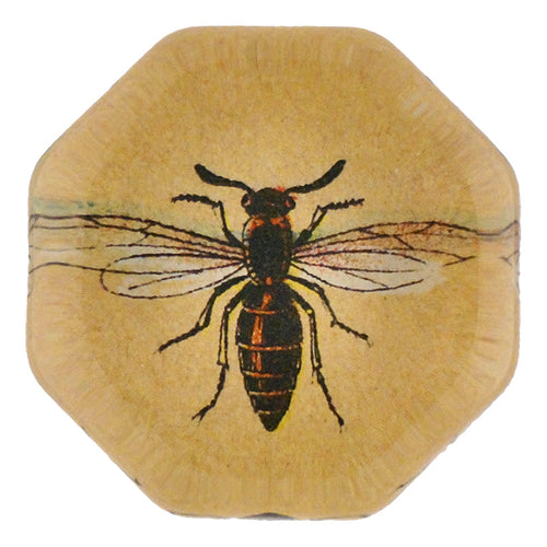 140 Insects F - FINAL SALE
