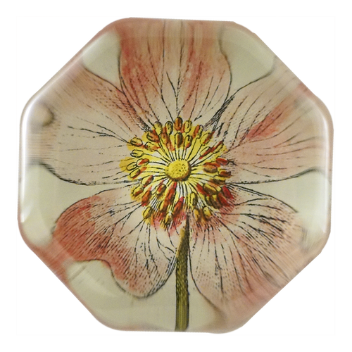 Rosa Canin - FINAL SALE