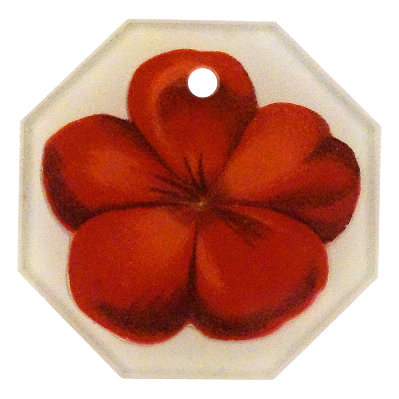 Geranium Fleuret 1