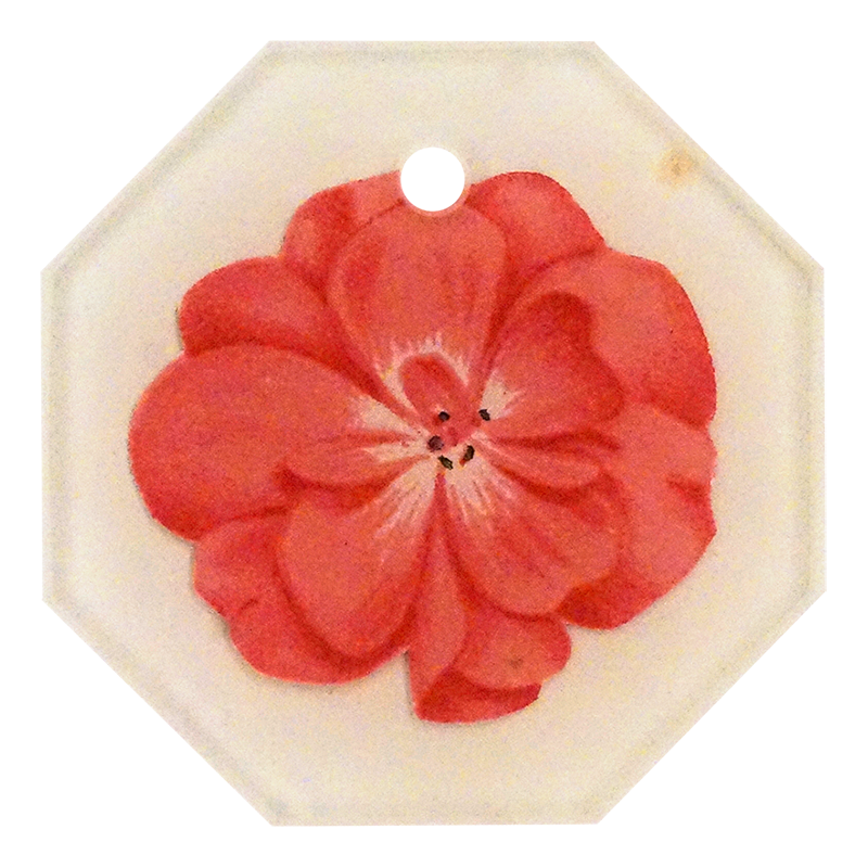 Geranium Fleuret 2