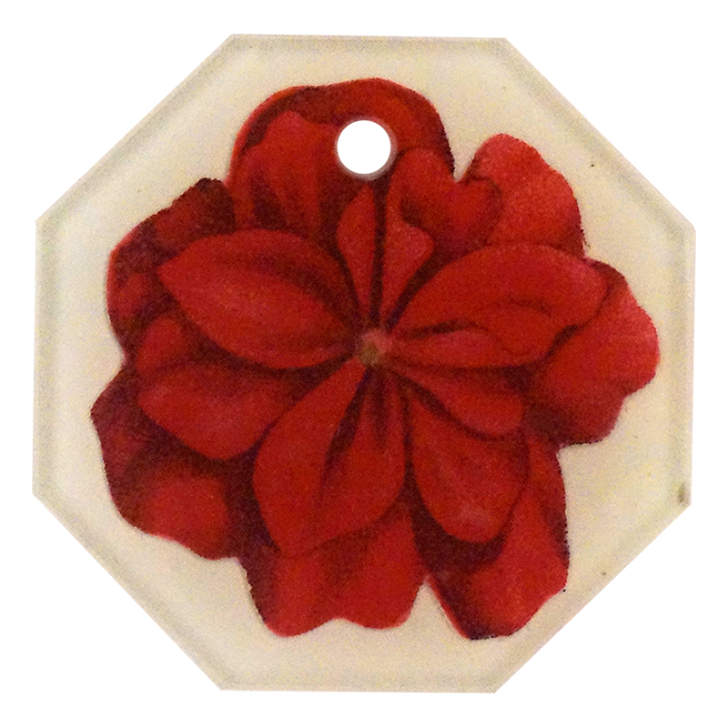 Geranium Fleuret 4