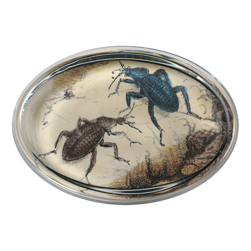 Two Insects - FINAL SALE