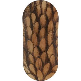 Picea