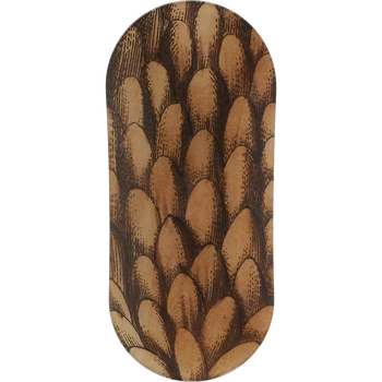 Picea