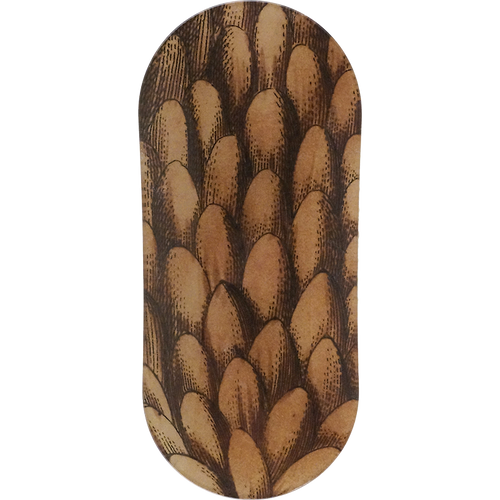 Picea