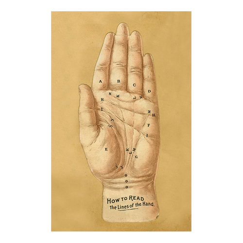 Traditional Hand Line Lines of the Hand โ John Derian Company Inc