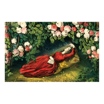 Sleeping Beauty