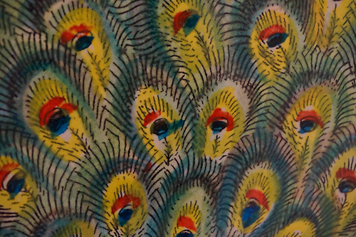 Peacock - FINAL SALE