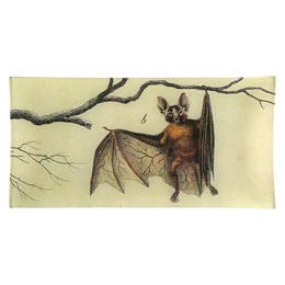 Hanging Bat B - FINAL SALE