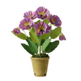The Green Vase Potted Pansy Plant