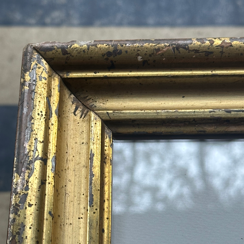 "Right Facing Pigeon" in a Vintage Gilded Frame
