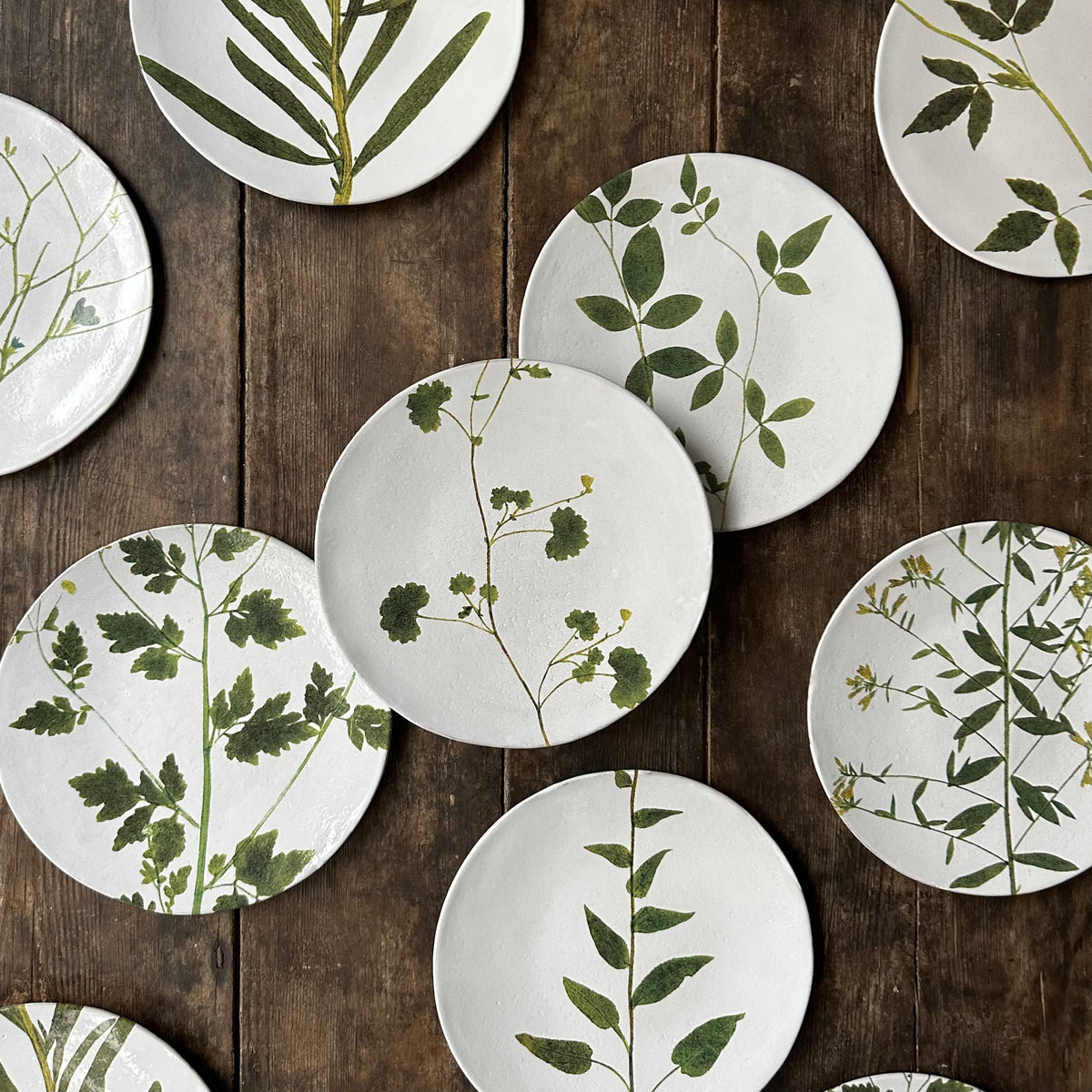 Reseda Plate