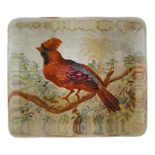Cardinal