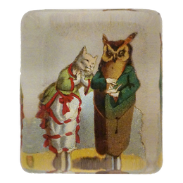 Cat & Owl