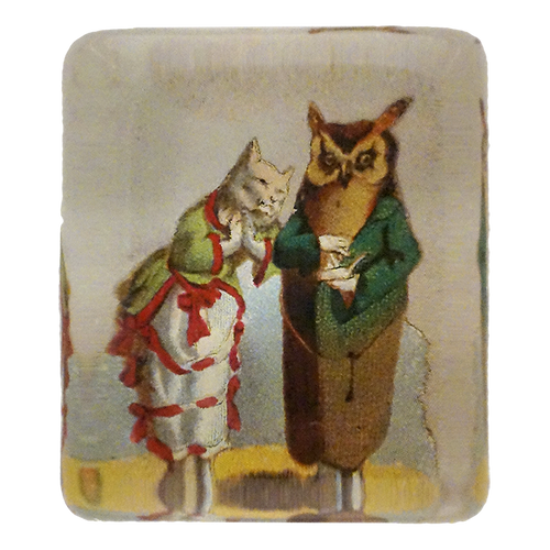 Cat & Owl