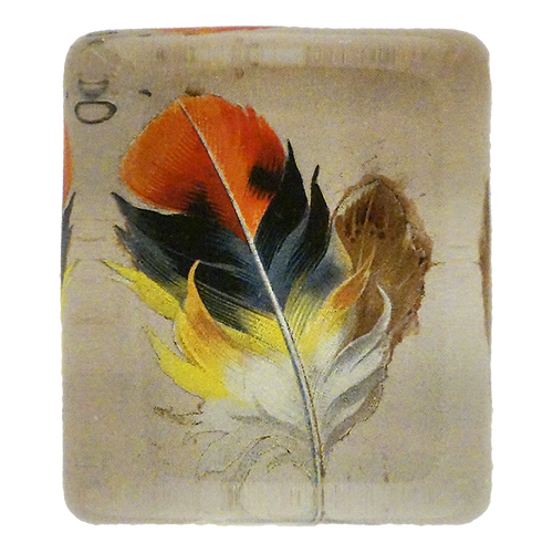 Feather #1