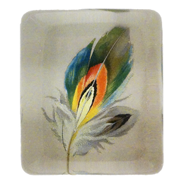 Feather #5
