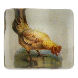 Hen
