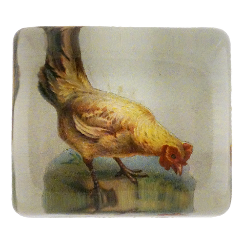 Hen