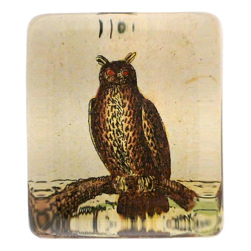 Owl 175 - FINAL SALE