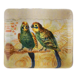 Parrots