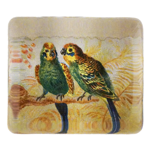 Parrots