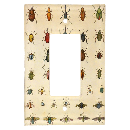 Torn Insects - FINAL SALE