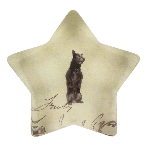 Scottie