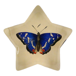 Blue Butterfly - FINAL SALE