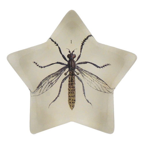 Flying Ant - FINAL SALE