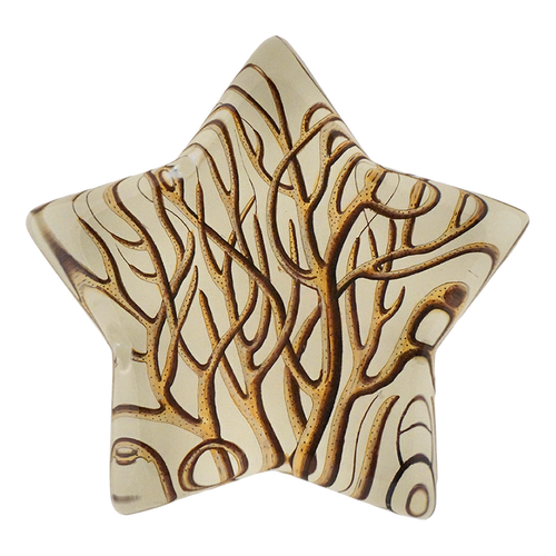 Gorgonia Antipathes (Coral) - FINAL SALE