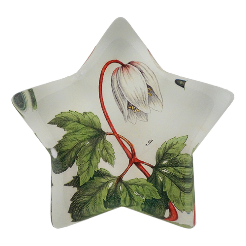 Wood Anemone - FINAL SALE