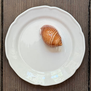 Trompe L'oeil Shell Plate with Waved Rim