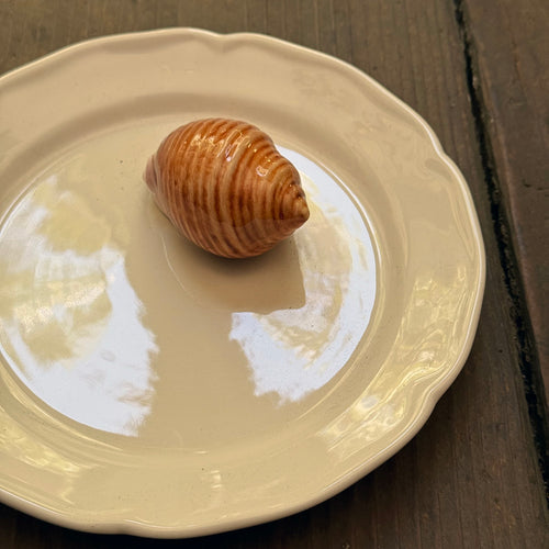 Trompe L'oeil Shell Plate with Waved Rim