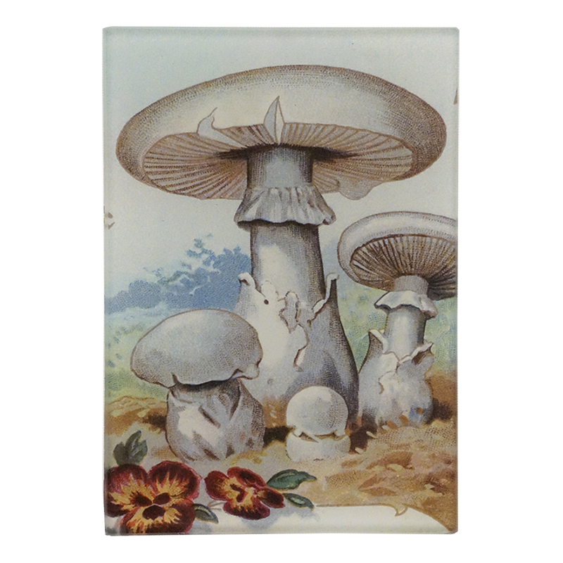 Three white mushrooms that take up most of the design and two red and yellow flowers on the bottom left. This is on a three and a half inch by five inch glass tray.