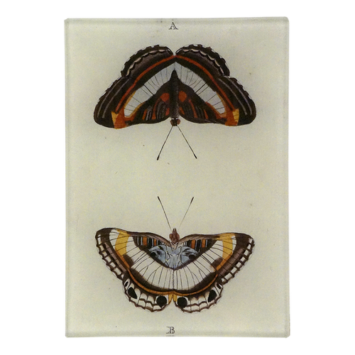 Butterfly A & B