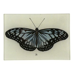 Butterfly B (Blue)
