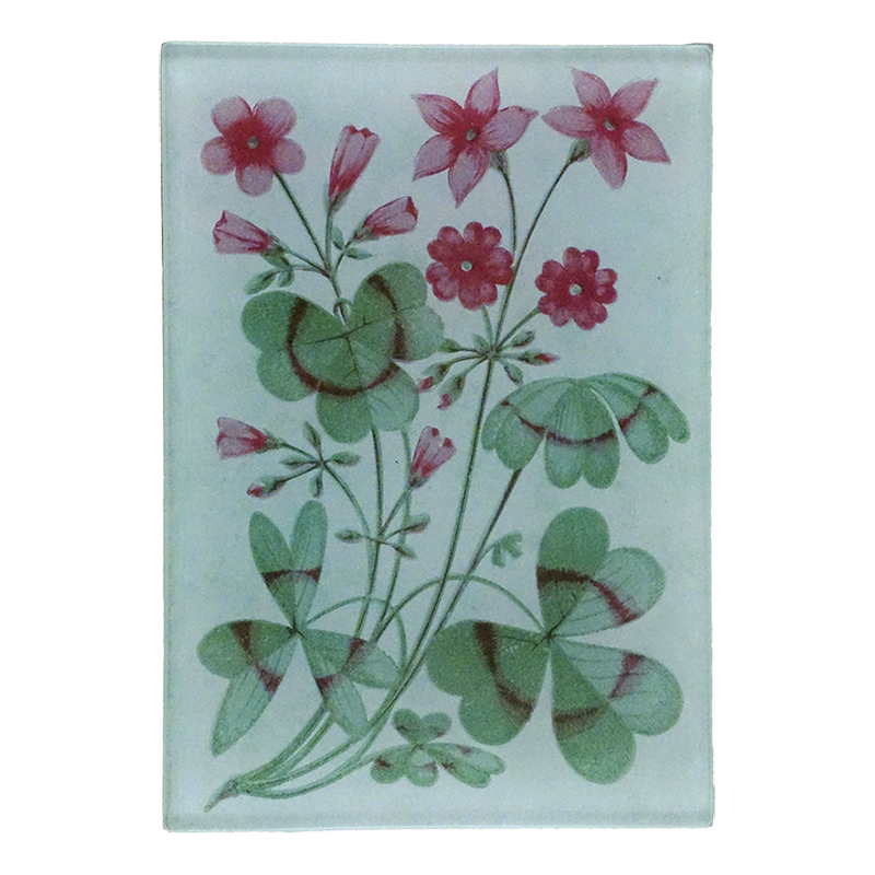 A collage of pink flowers and green leaves design with a light blue back ground on a three and a half inch by five inch glass tray. 