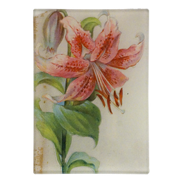 Lily