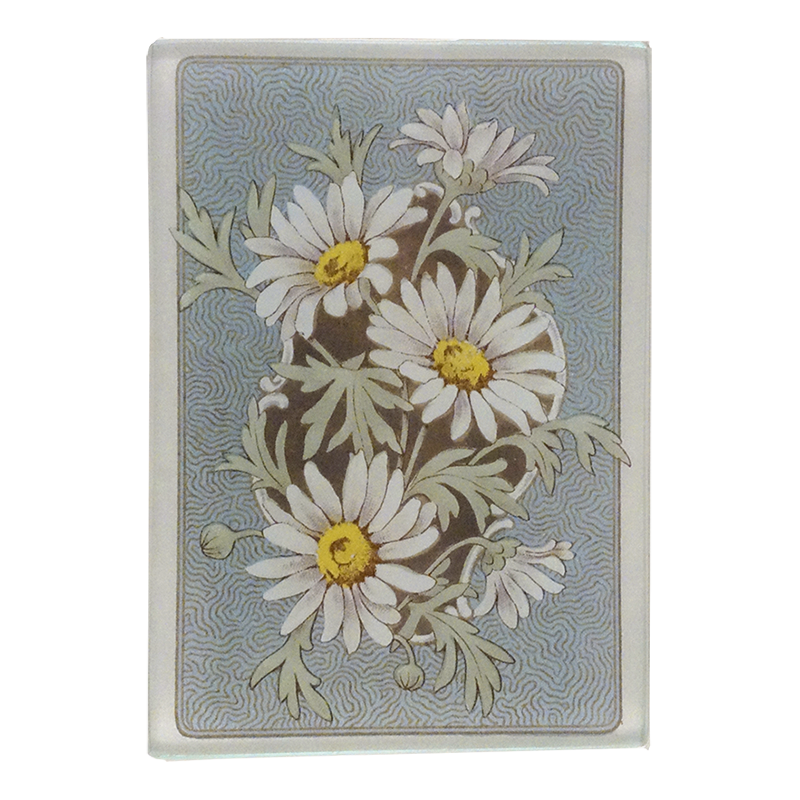 An illustration of white daisies on a green stems with a blue back ground on a three and a half inch by five inch glass tray. 
