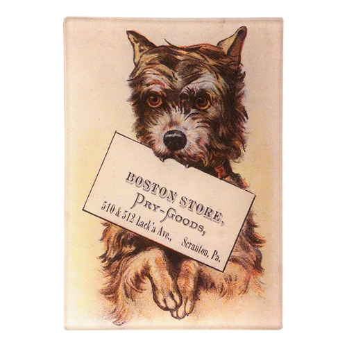 White Terrier Trade Card