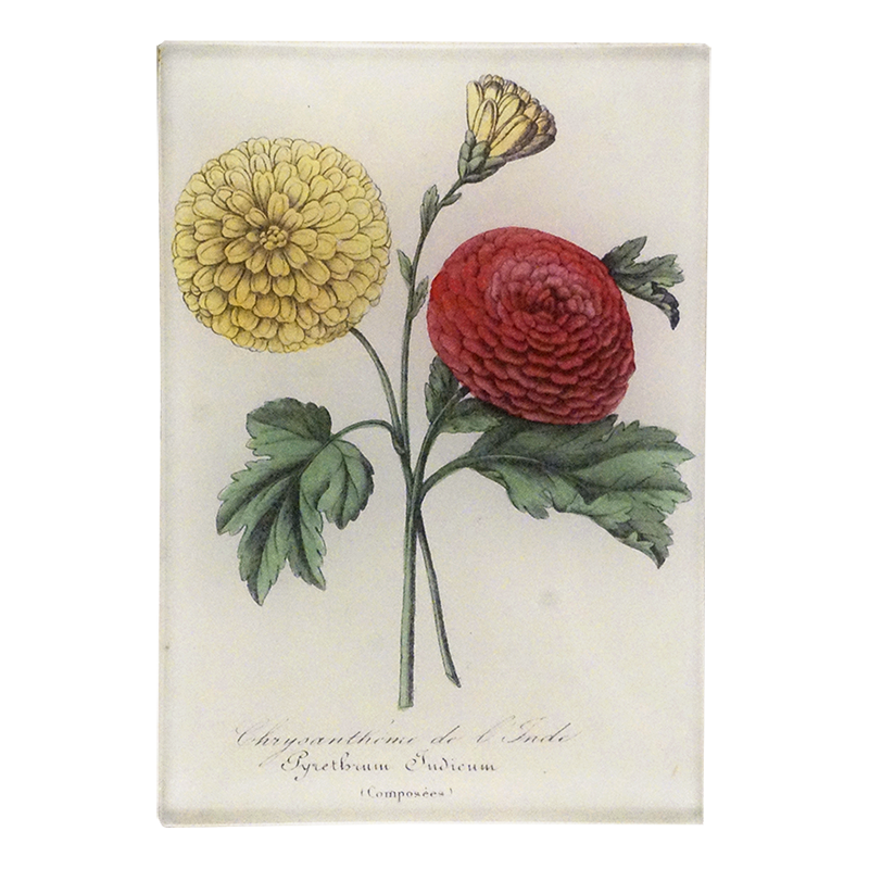 A yellow and red Chrysanthemum with green leaves on a three and a half inch by five inch glass tray. 