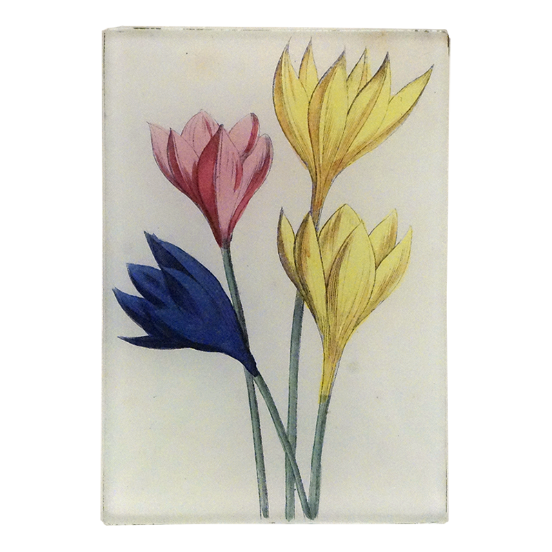 Four colorful flowers on a three and a half inch by five inch glass tray.