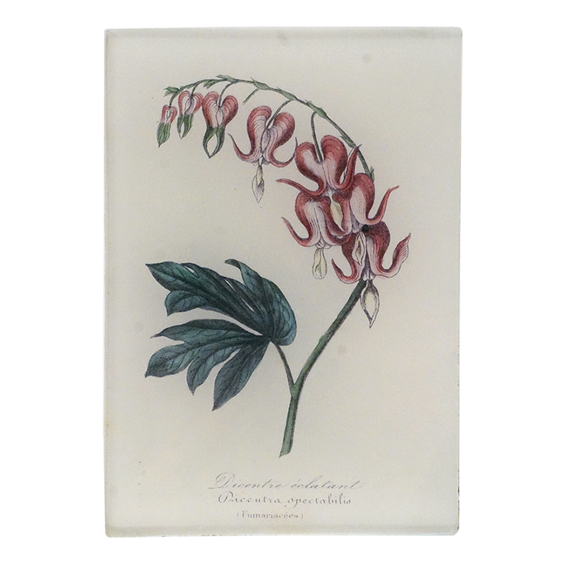 A floral design, with pink flowers and green leaves on a three and a half inch by five inch glass tray. 