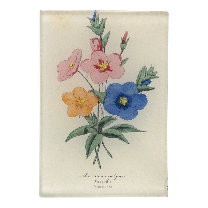A floral print featuring pink, orange, and blue flowers with green leaves on a three and a half inch by five inch glass tray. 